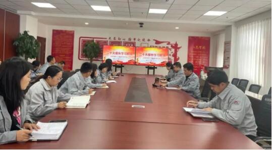 公司开展学习贯彻党的二十大专题党课